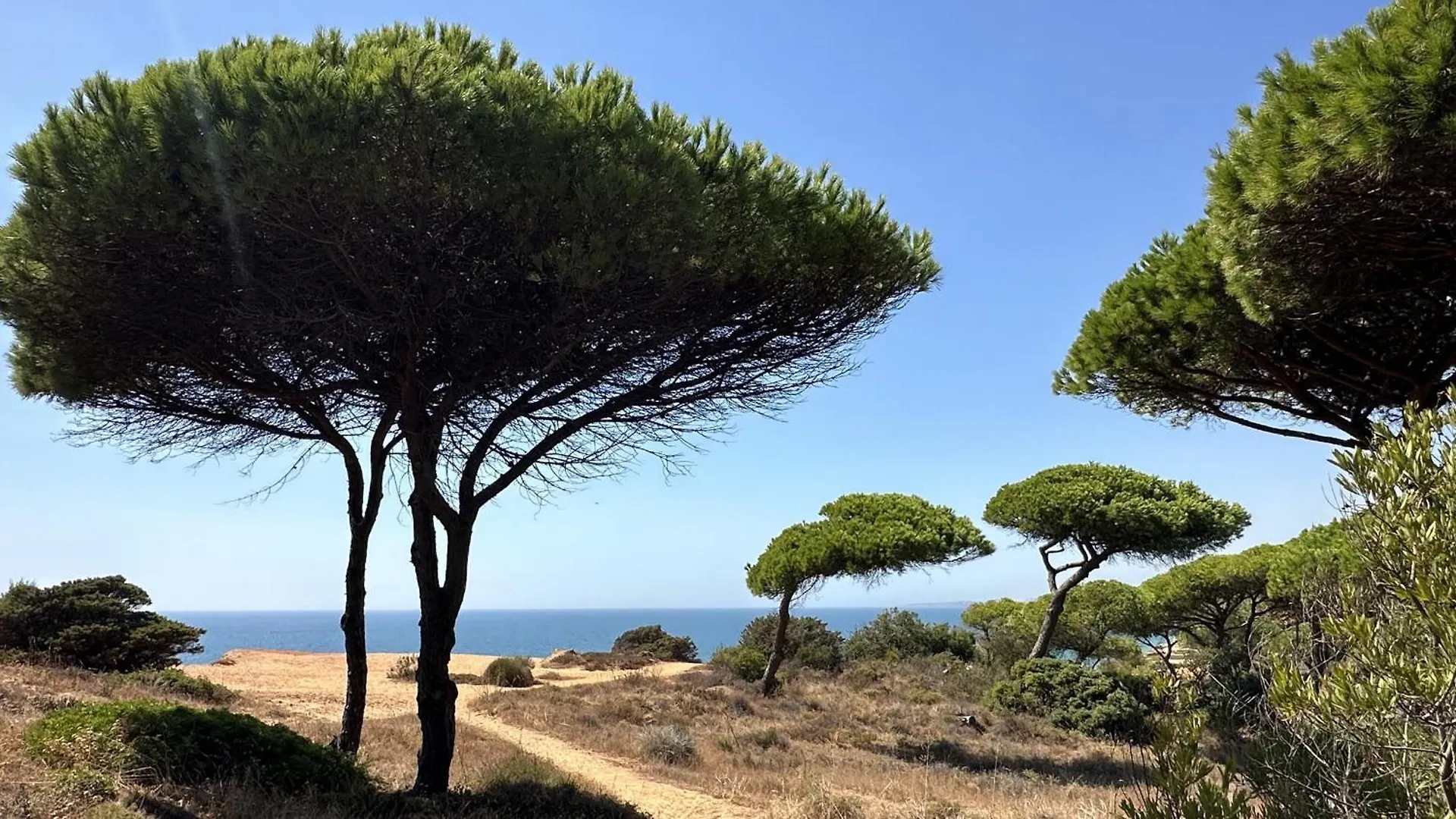 Pine Cliffs By Check-In Portugal Villa Albufeira